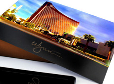 Wynn Las Vegas Android Packaging